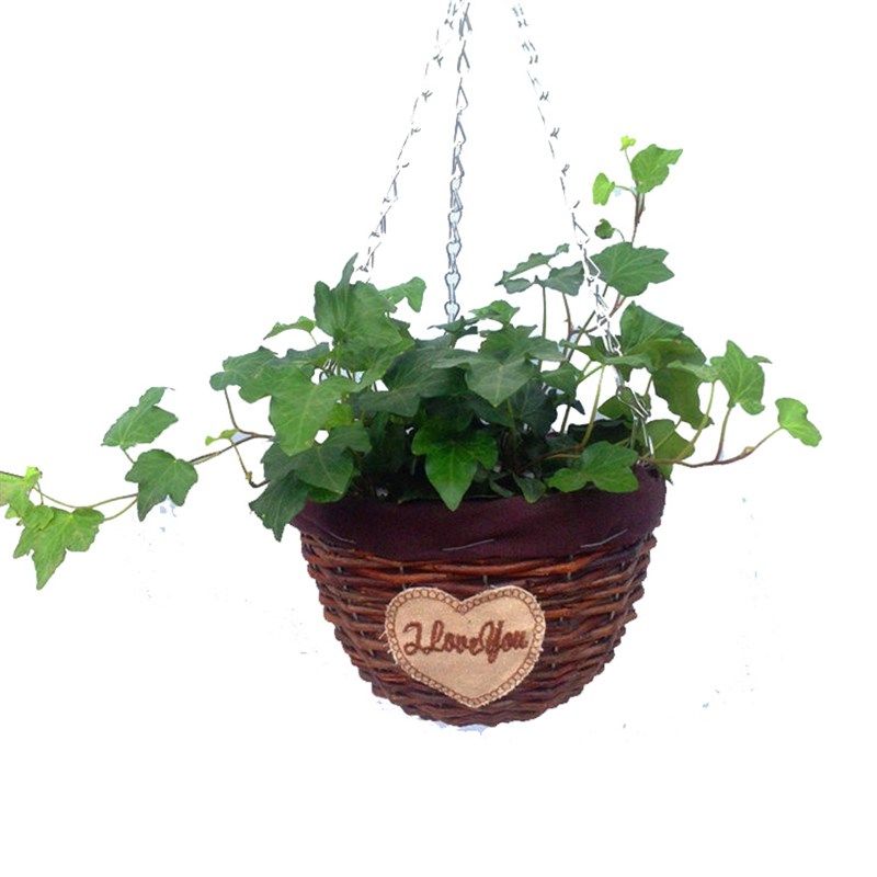 手工柳编藤编壁挂花篮田园家居墙面装饰品垂吊悬挂式绿植多肉花盆