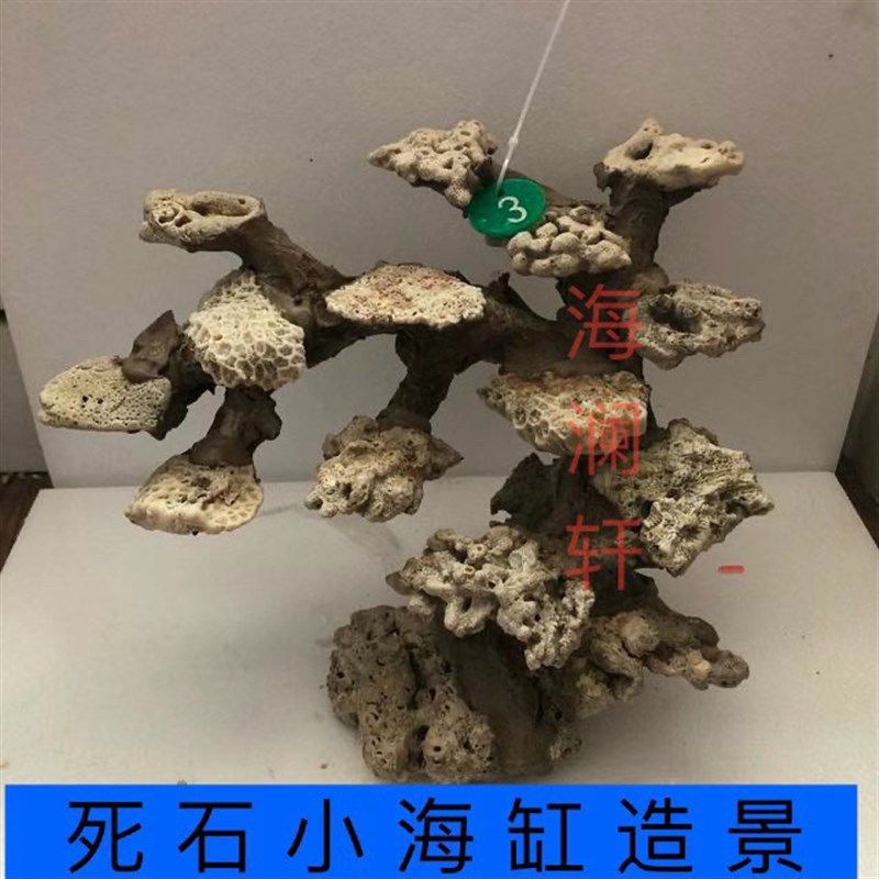 小海缸死石造景爪哇石干岩石免爆藻快速开缸珊瑚天然活石造景定制