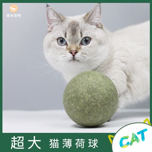 猫宠物套装玩具超大猫薄荷球棒棒糖自嗨解闷耐咬逗猫神器磨牙洁齿