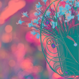 铁艺吊兰花盆栽花带铁链挂钩垂钓绿植阳台装 饰悬挂花篮绿萝盆花架