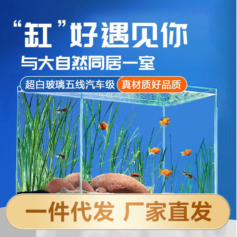 超白草缸鱼缸客厅小型裸缸造景南美原生溪流缸桌面生态乌龟缸鱼缸