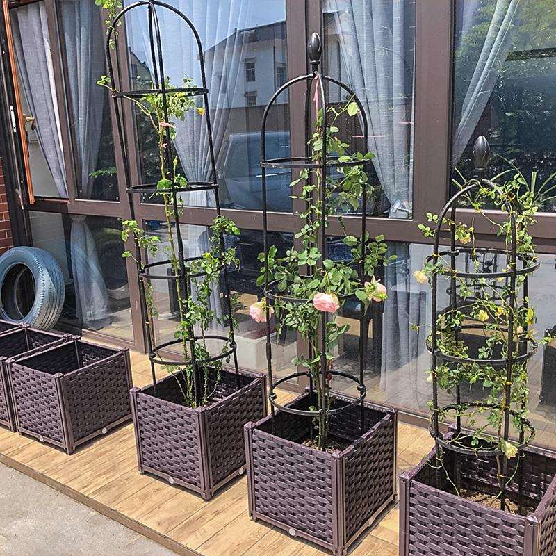 阳台种菜深花盆楼顶葡萄蔷薇月季花箱花槽大号果树盆50种植箱