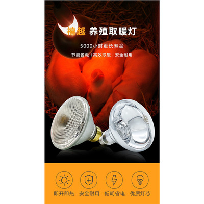 通用电气GE 红外线灯泡PAR38175W养殖场专用灯泡养猪灯厚玻璃现货