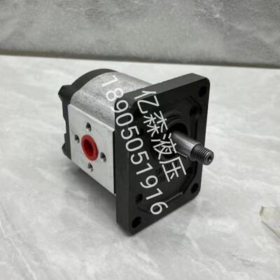 马祖奇MARZOCCHI齿轮泵ALP2-D-9/10/12/13/16/20/22/25/30/34/37