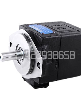 DENISON丹尼逊T6C-022/025/028/031-1R00/1R01/1R02-A1叶片泵油泵