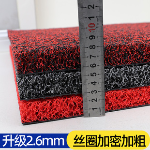 入户门玄关地垫大门口脚垫家用防滑丝圈垫子加厚丝圈地垫可裁剪