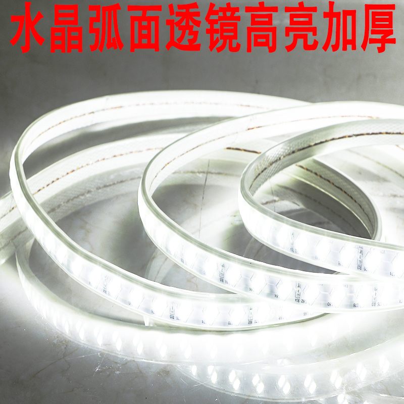 灯带led工程亮化照明工地养殖园林装饰100米一卷220v白光暖光灯条