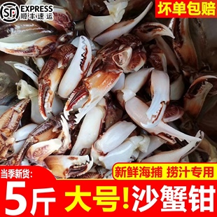 沙蟹钳大号梭子蟹钳螃蟹腿新鲜醉钳蟹爪蟹腿捞汁原料商用年货批发