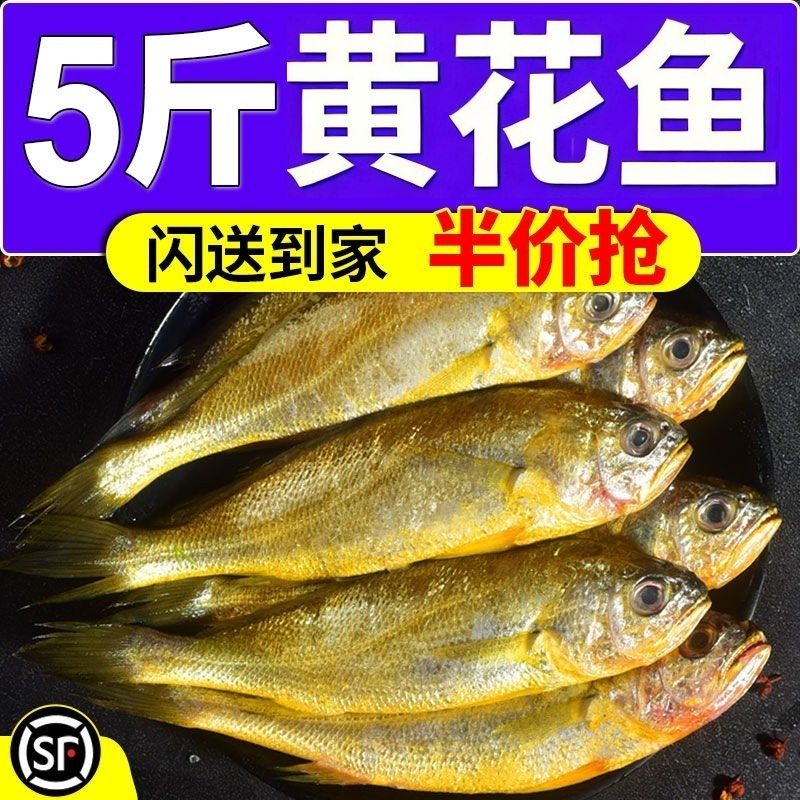 黄花鱼新鲜冷冻大号黄鱼鲜活生鲜深海鱼黄鱼鲞小黄鱼宁德商用整箱