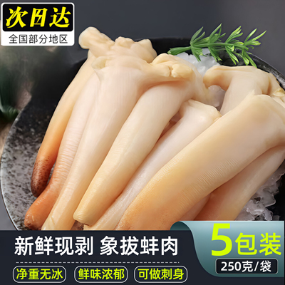 象拔蚌新鲜速冻象鼻蚌袋装象牙蚌大号象拔蚌贝类海鲜水产商用顺丰