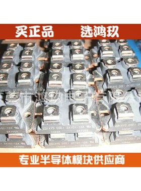 IXYS DSEI2X101-12A  DSEI2X101-06B  快恢复二极管模块