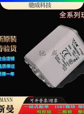 巴斯曼170M3981 170M3982 170M3983 原装进口零售  低压保险丝