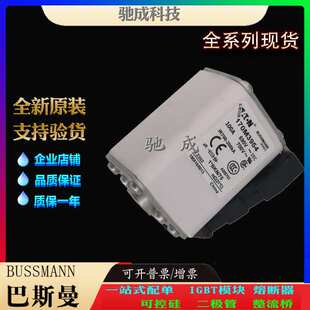 巴斯曼170M3981 170M3982 170M3983 原装进口零售  低压保险丝