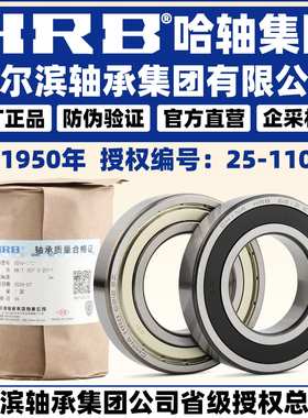 HRB 哈尔滨轴承 6411 6412 6413 6414 6415 6416 6417   -ZZ 2RZ