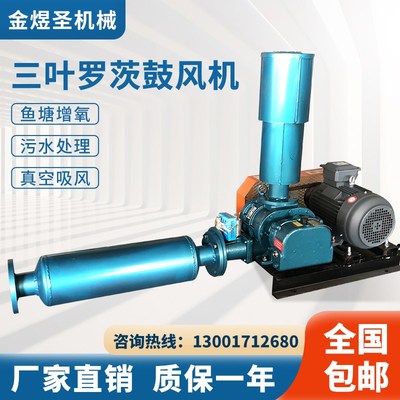 三叶罗茨鼓风机水产养p殖底部增氧污水处理曝气气力输送高压鼓风