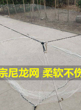 网箱养鱼白尼龙不伤鱼水t产养殖防逃网鱼箱暂养存鱼大小鱼网箱定