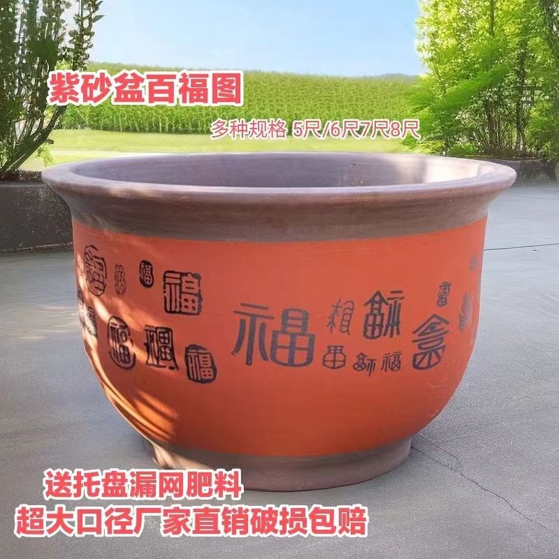 大口径陶瓷花f盆景紫砂盆特大号种树陶瓷花盆阳台庭院绿植花卉种