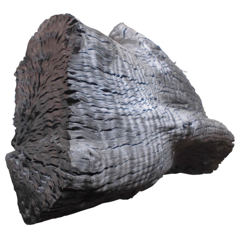 烧烤碳 荔枝果i木炭 户外烧烤碳原木果木炭 无烟烧烤炭10斤包邮