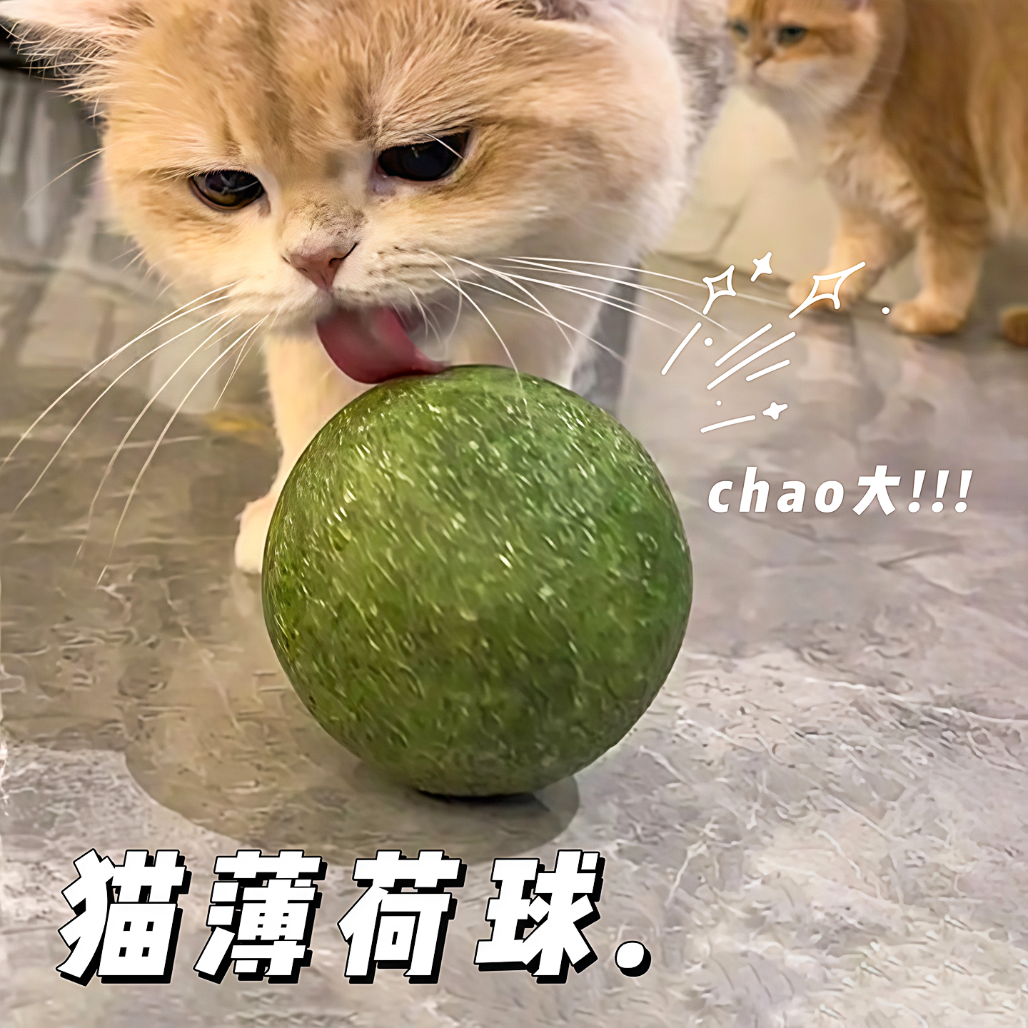 猫薄荷球超大猫玩具自嗨解闷神器磨牙猫草球逗猫棒猫咪用品木天蓼