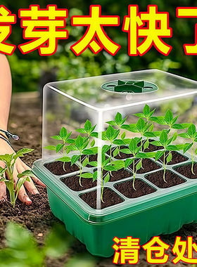 育苗盒加高12孔可调节透气保温实用园艺播种材质保湿神器园林工具