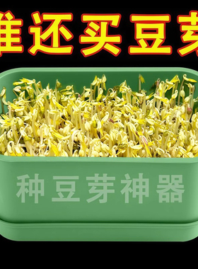 家用发豆芽工具神器食品级发芽盆生绿豆芽方法芽花生芽专用盆种植