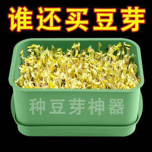 家用育苗盘种植豆芽专用盆大容量