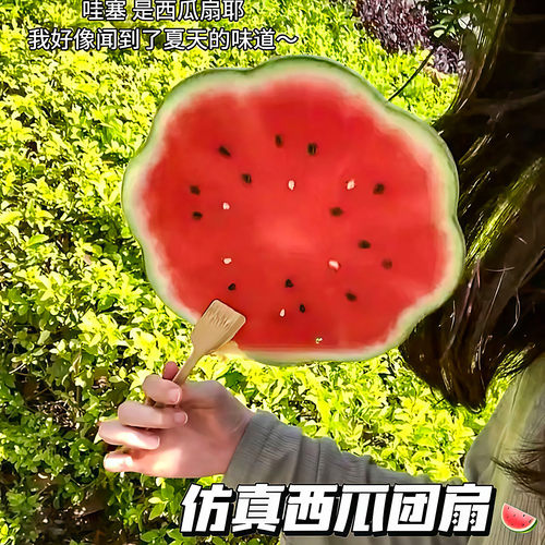 夏日手绘西瓜团扇清凉送闺蜜