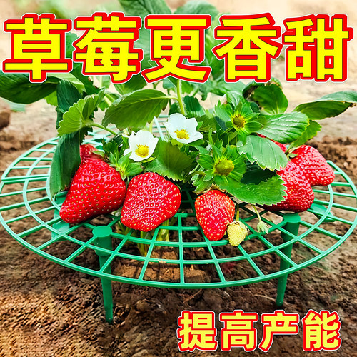 家庭草莓种植支架托架防腐烂支撑