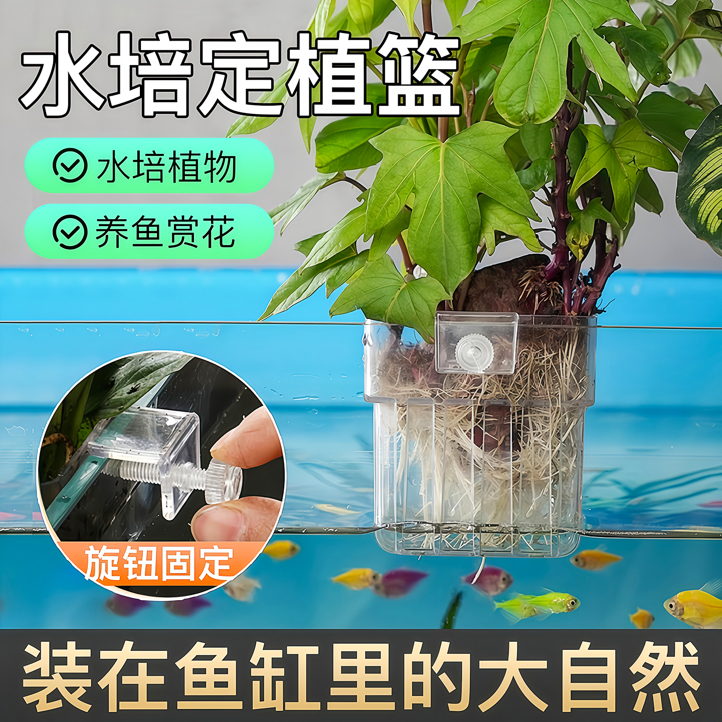 鱼缸水培架定植篮壁挂式固定器