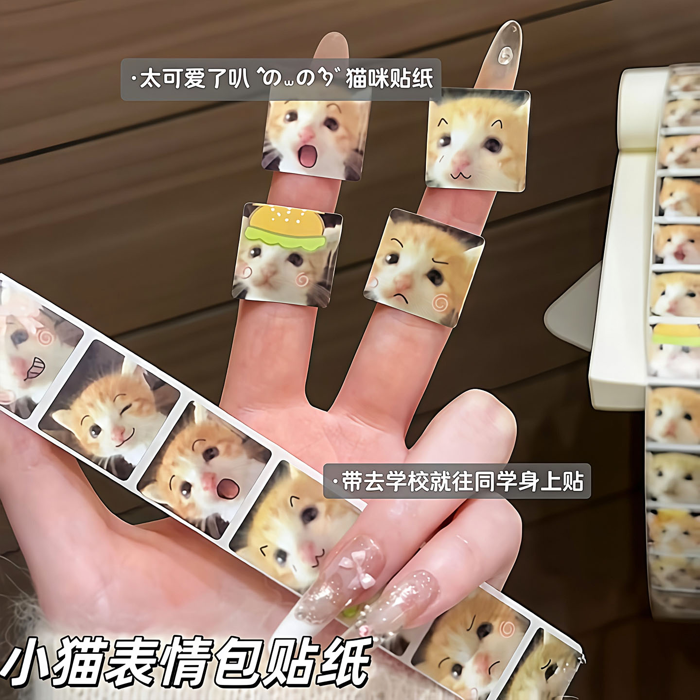 死对头小猫贴纸萌宠表情包卷卷贴