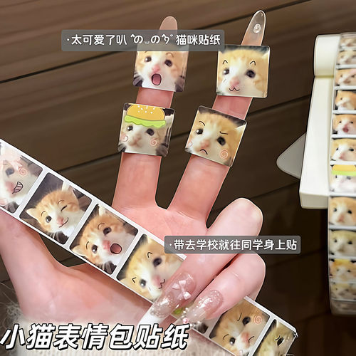 死对头小猫贴纸萌宠表情包卷卷贴