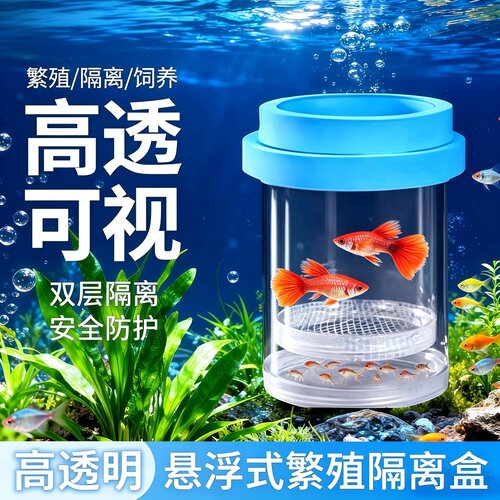 鱼缸母鱼产房隔离繁殖盒产卵孵化