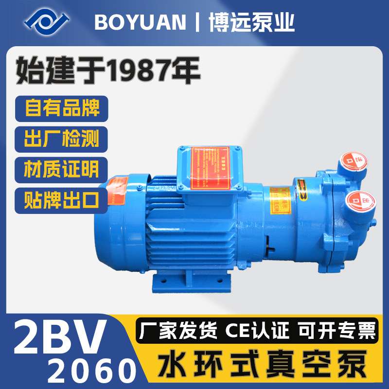 2BV2060水环式真空泵0.81kW铸铁304工业引水液环泵抽气泵博远泵业