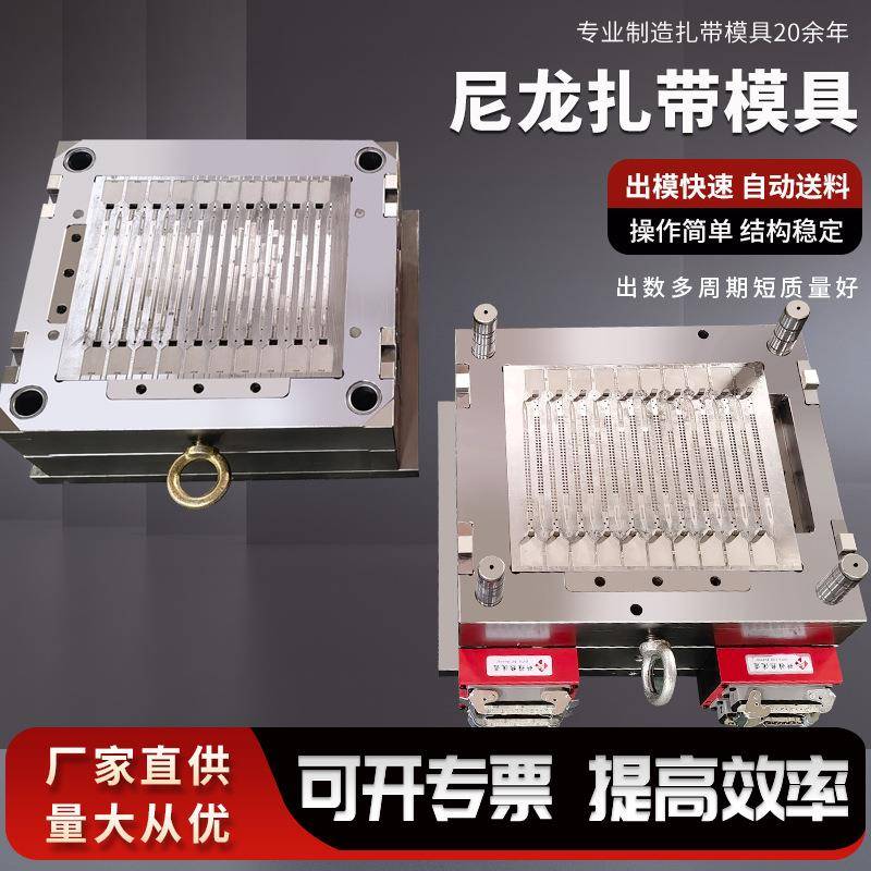 博锐模具制造厂专业生产钢钉线卡模具尼龙扎带模具。膨胀管模具