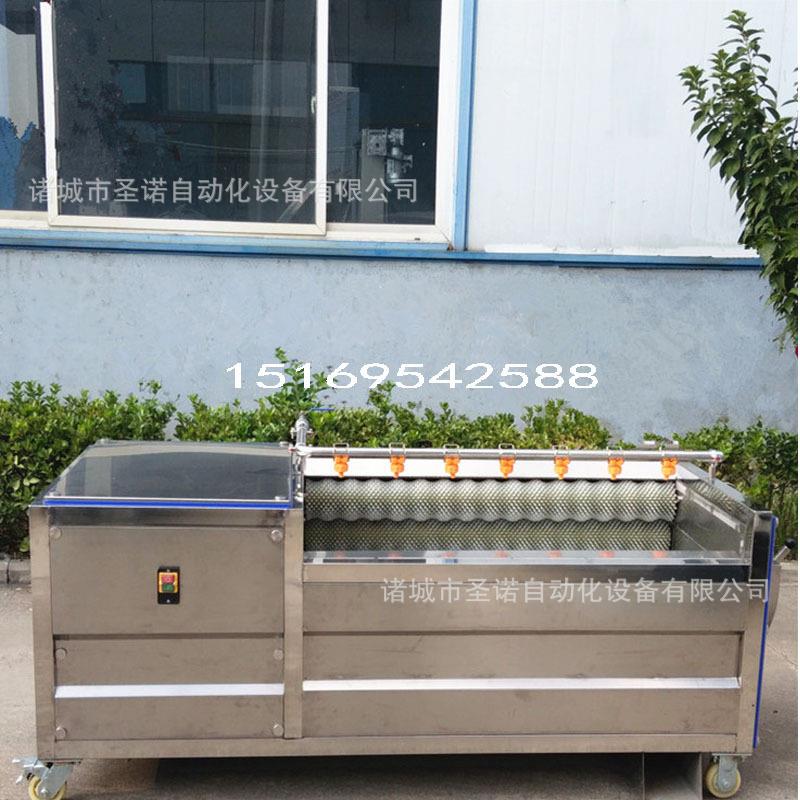 不锈钢小型土豆毛辊去皮清洗机马蹄去泥清洗机中药材去杂清洗机