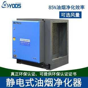 油烟净化厂家商用净化器厨房8000风量餐饭馆吸油烟净化设备