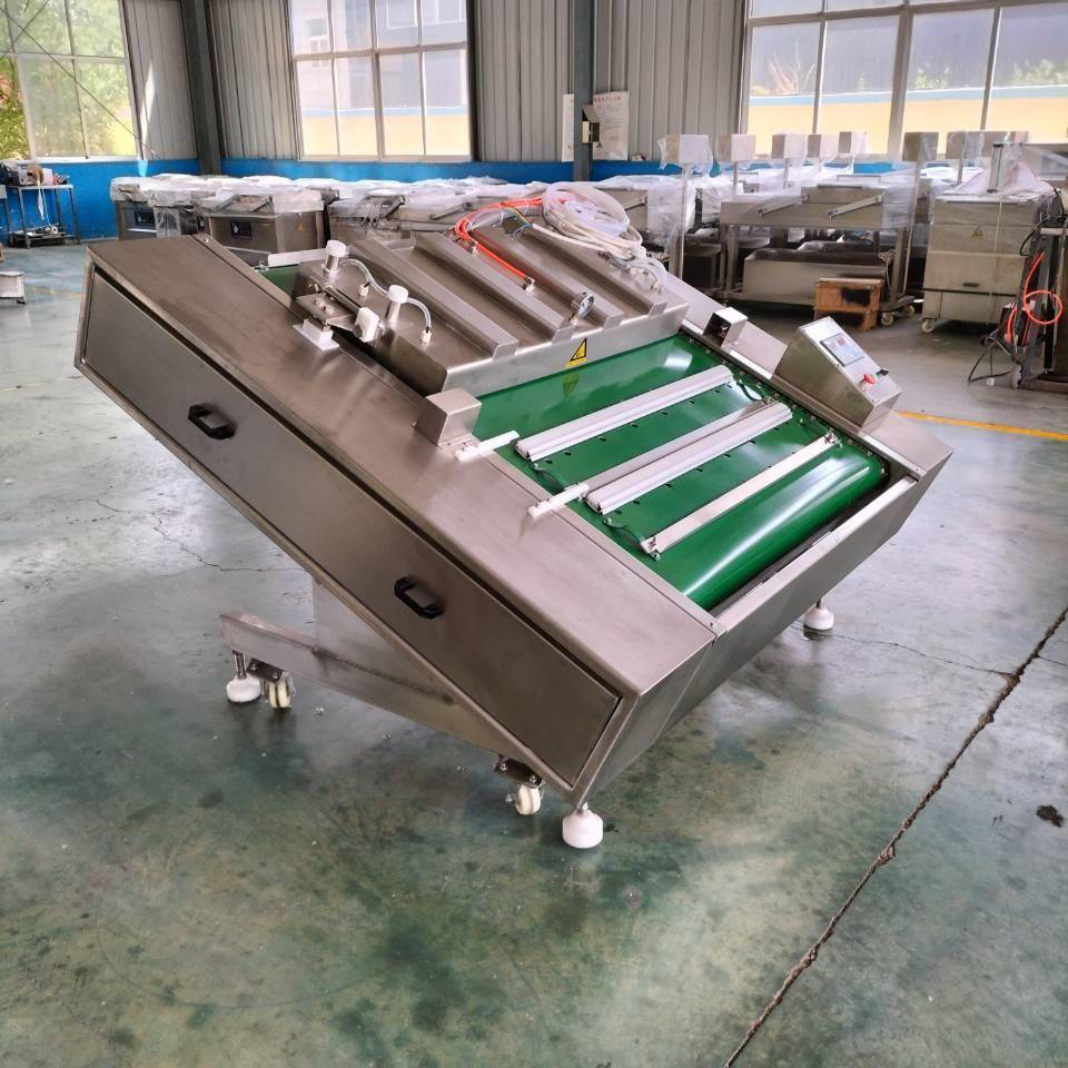 鱿鱼须串真空包装机多功能连续式真空机