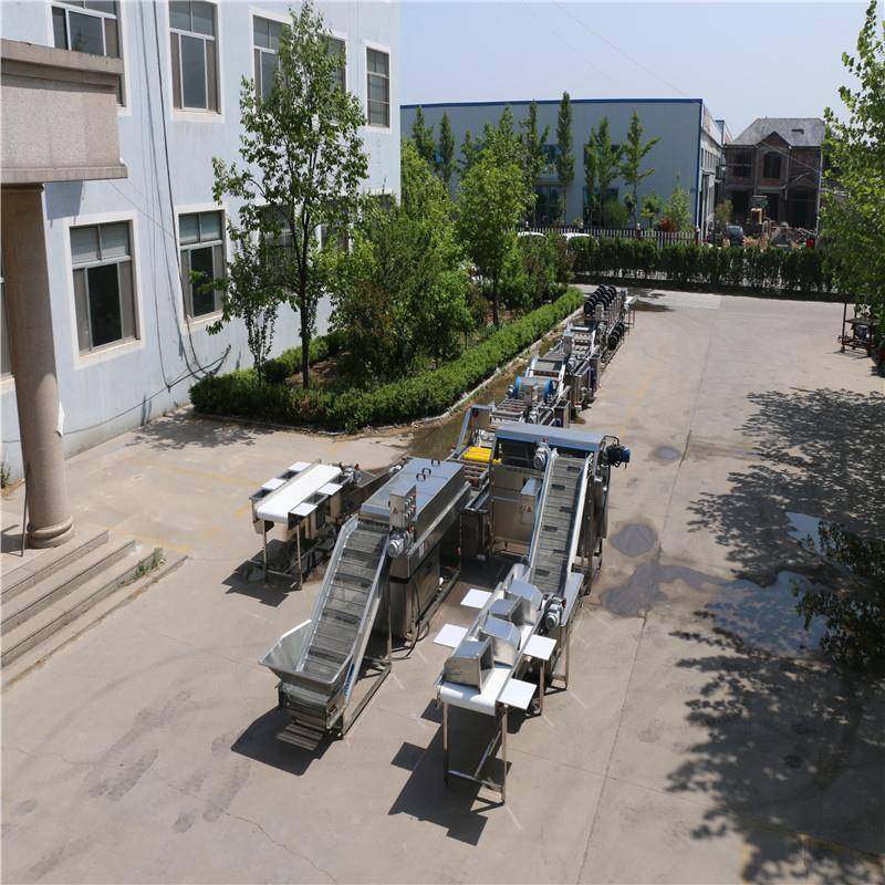 厂家供应净菜配送加工设备商用蔬菜清洗机免费安装调试耐用