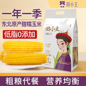 好物体验专享 东北黄糯玉米真空锁鲜加热即食低脂粗粮早餐代餐