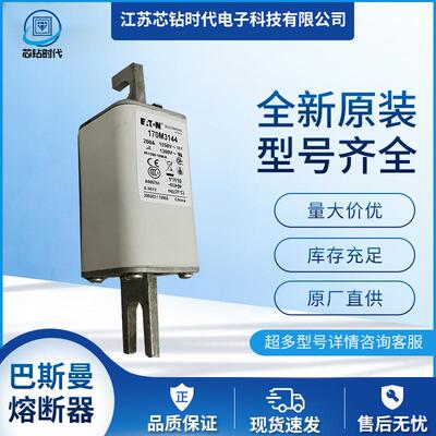 170M3138 170M3139 170M3140 巴斯曼BUSSMANN熔断器保险丝