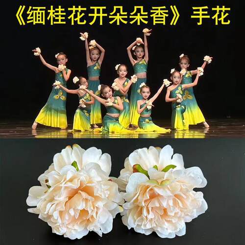 傣族舞蹈表演道具缅桂花开朵朵