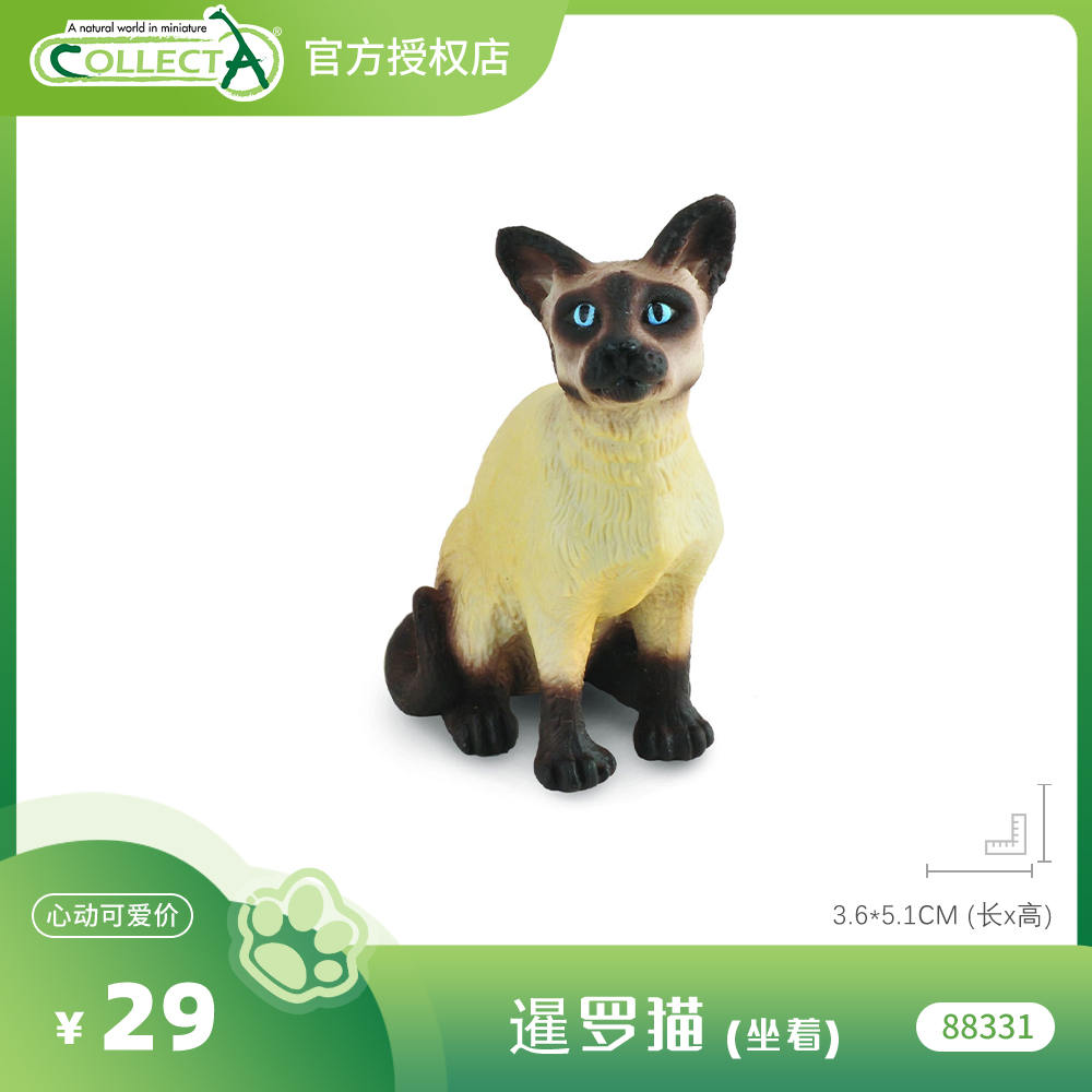 【88331暹罗猫(坐着)】CollectA官方授权正版动物模型早教玩具