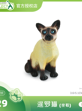 【88331暹罗猫(坐着)】CollectA官方授权正版动物模型早教玩具