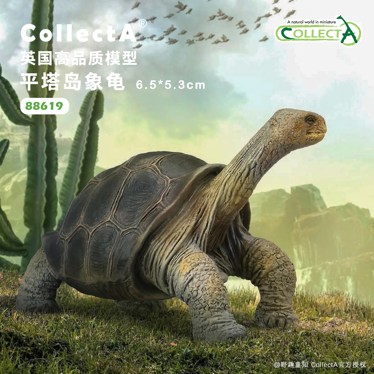 CollectA平塔岛象龟动物模型玩具