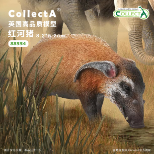 动物模型早教玩具 CollectA官方授权正版 88554红河猪