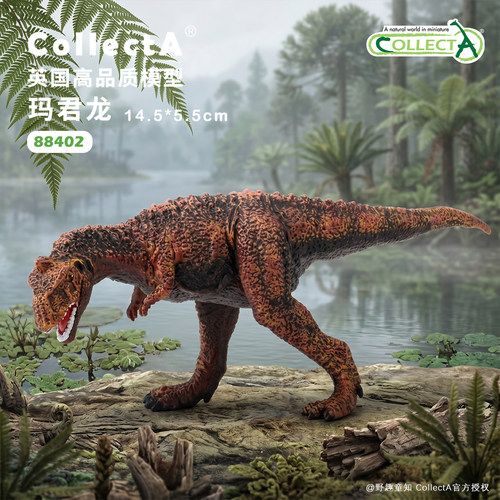 【88402玛君龙】CollectA动物模型儿童仿真玩具早教礼物宝宝