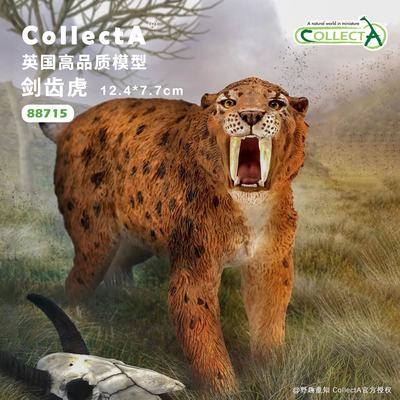 CollectA剑齿虎动物模型玩具公仔