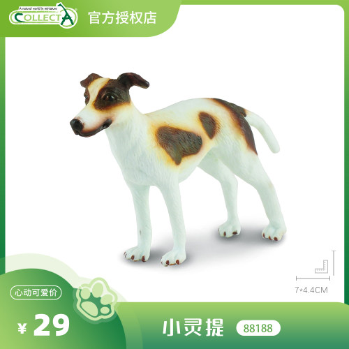 【88187灵提】CollectA官方授权正版动物模型早教玩具儿童认知