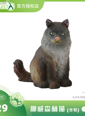 【88327挪威森林猫 】CollectA官方授权正版动物模型早教玩具