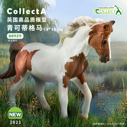 CollectA青可蒂格马模型